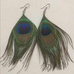 Peacock Feather Earrings